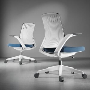 Seating Staff Chair Whale