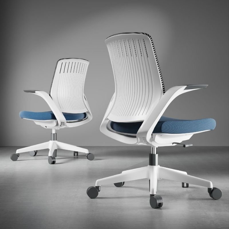 Seating Staff Chair Whale